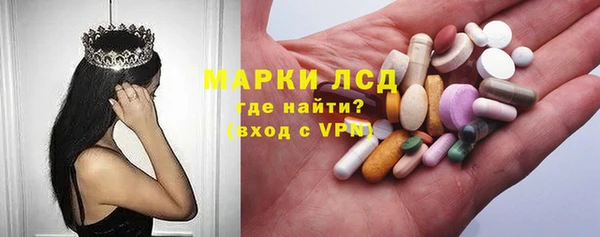 индика Горняк