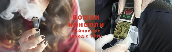 гидра Дмитров